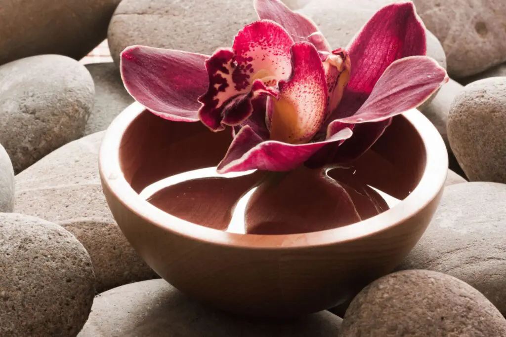 Balance Healing With Ayurveda