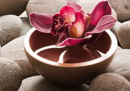 Balance Healing With Ayurveda