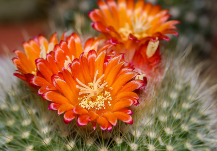 RSW blog - feature (3)