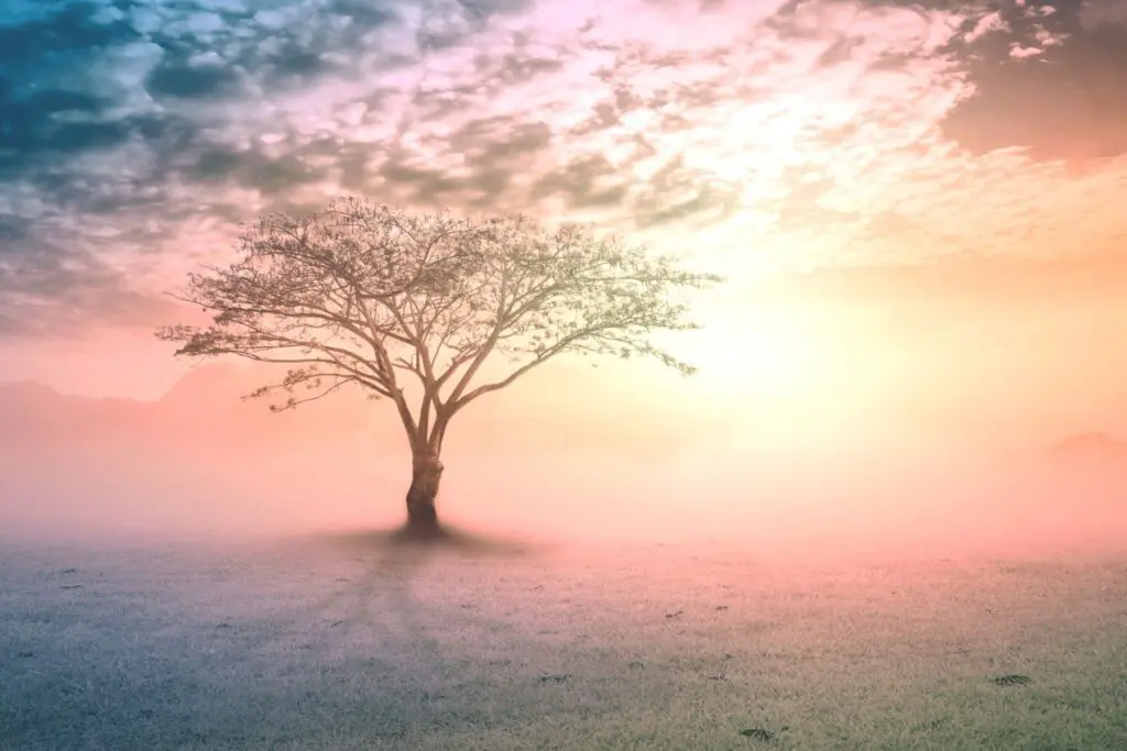 accelerate your enerrgy healing