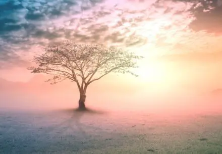 accelerate your enerrgy healing