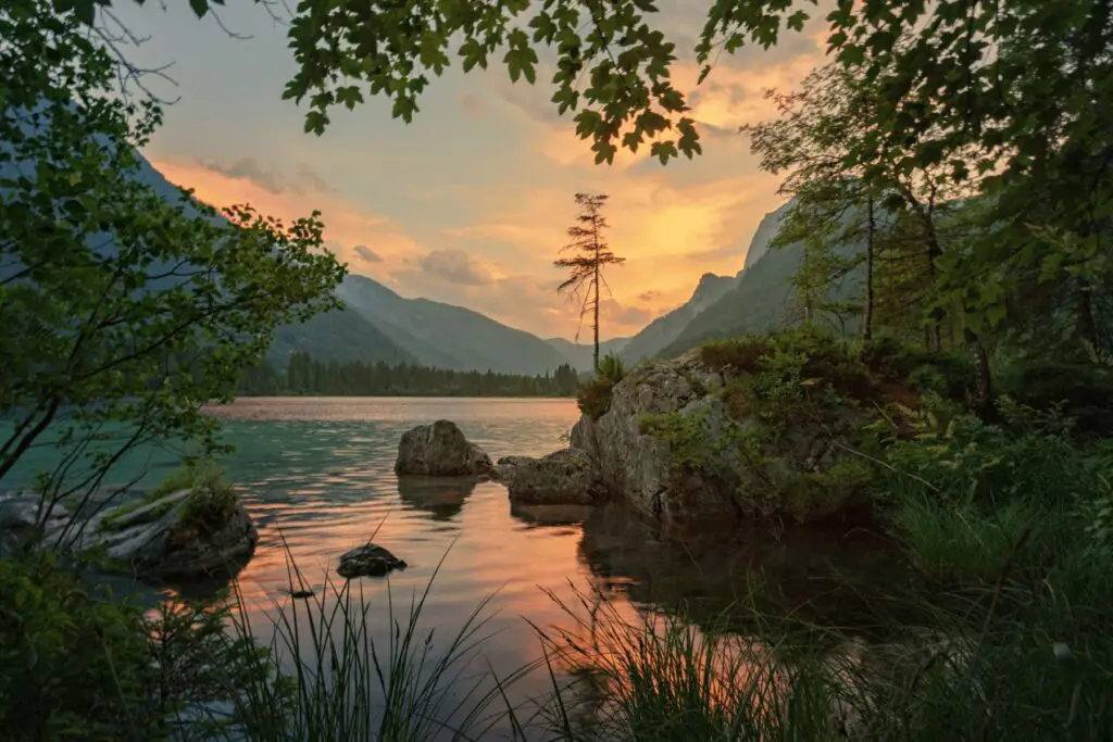 four levels of consciousness in healing