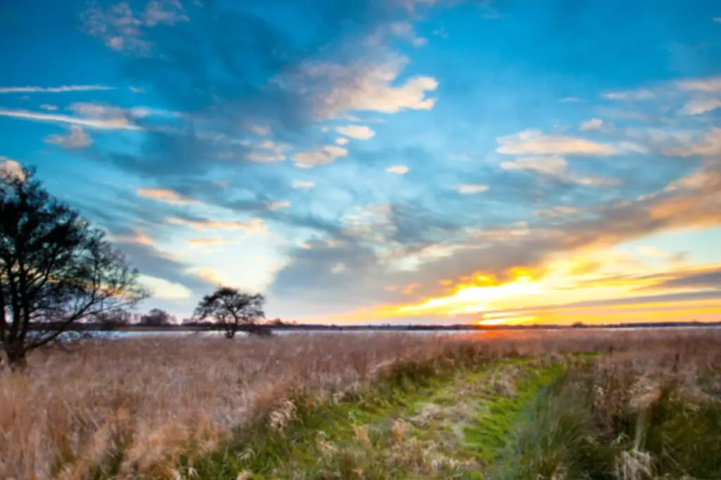 XO P.S. Whenever you’re ready… Here are 3 ways I can help YOU transform your health, well-being, and life experience to the Next Level and become fully empowered to step into BEING your own power-full healer: Take the Wellness Barrier quiz, to find out what’s preventing your healing. Easily unlock the missing piece and move beyond the struggle and confusion of your symptoms—into inner peace of knowing what to do next. Click here to learn more. Ready to use your aligned energy, Universal Laws, and focused spiritual power to transform your health, well-being, and quality of life? Work closely with me in a 60-day program designed to uncover the core cause of your symptoms, move beyond obstacles and barriers, and cultivate the energy and creative will necessary to consistently flow into your heart’s desires. Let’s have a conversation to see if this program is the next step for you. Click here to request a call.