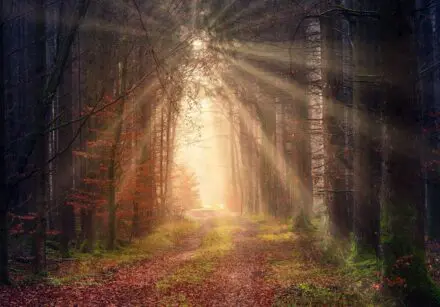 Why You're Not Healing