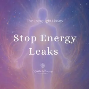 Stop Energy Leaks